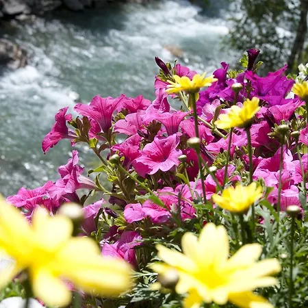 Appartement Schmid *