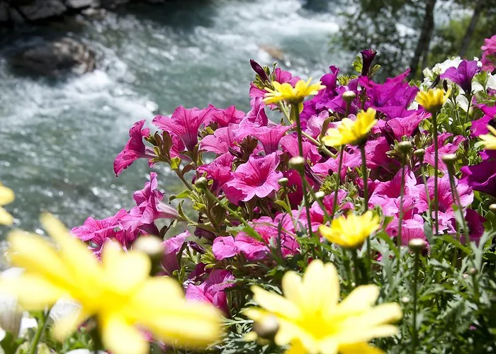 Apartamento Schmid *